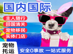 阳江合山机场货运国际宠物托运 【国